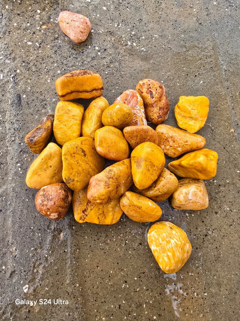 سنگ قلوه زرد سنگ قلوه زرد